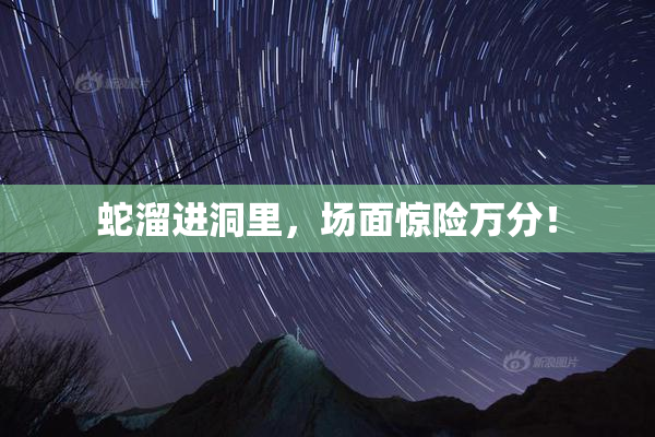 蛇溜进洞里，场面惊险万分！