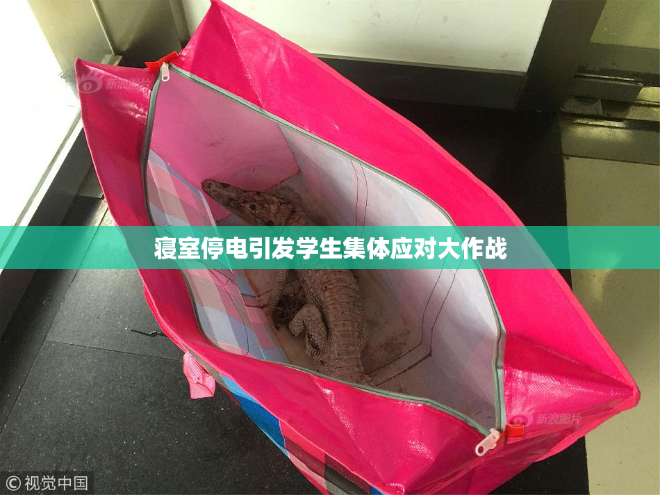 寝室停电引发学生集体应对大作战