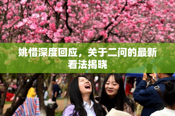 姚惜深度回应，关于二问的最新看法揭晓