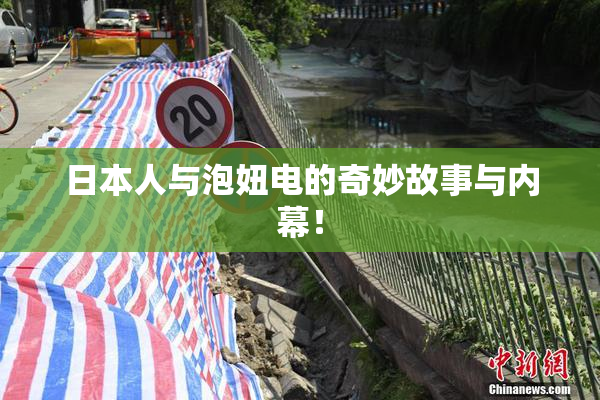 日本人与泡妞电的奇妙故事与内幕！