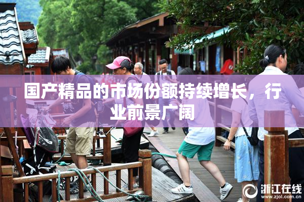 国产精品的市场份额持续增长，行业前景广阔