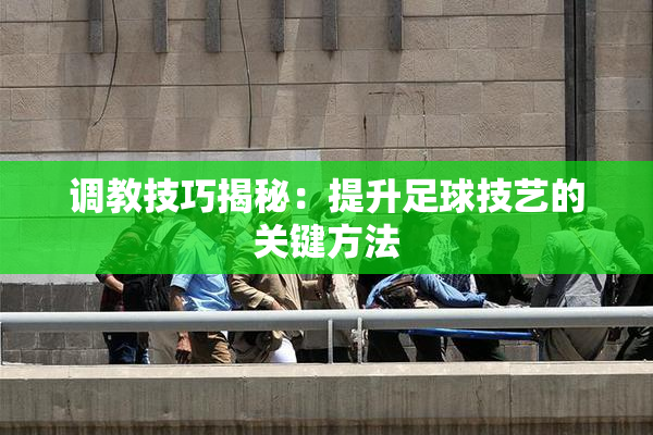 调教技巧揭秘：提升足球技艺的关键方法