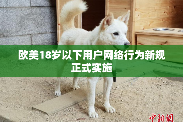 欧美18岁以下用户网络行为新规正式实施