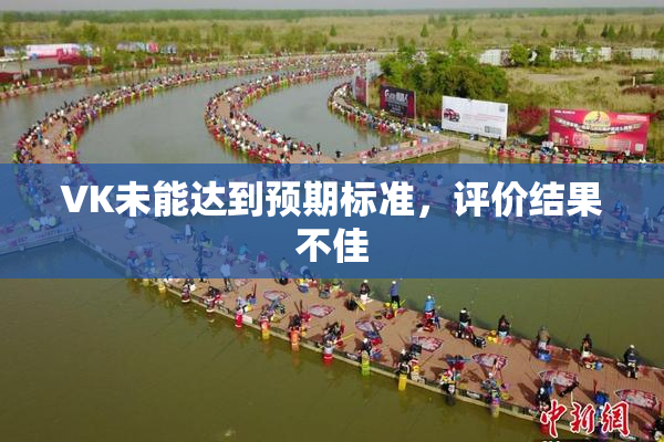 VK未能达到预期标准，评价结果不佳
