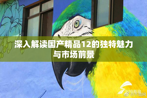深入解读国产精品12的独特魅力与市场前景