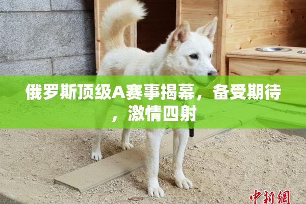 俄罗斯顶级A赛事揭幕，备受期待，激情四射