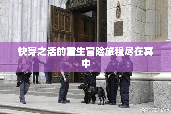 快穿之活的重生冒险旅程尽在其中