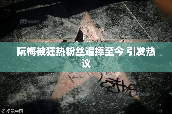 阮梅被狂热粉丝追捧至今 引发热议