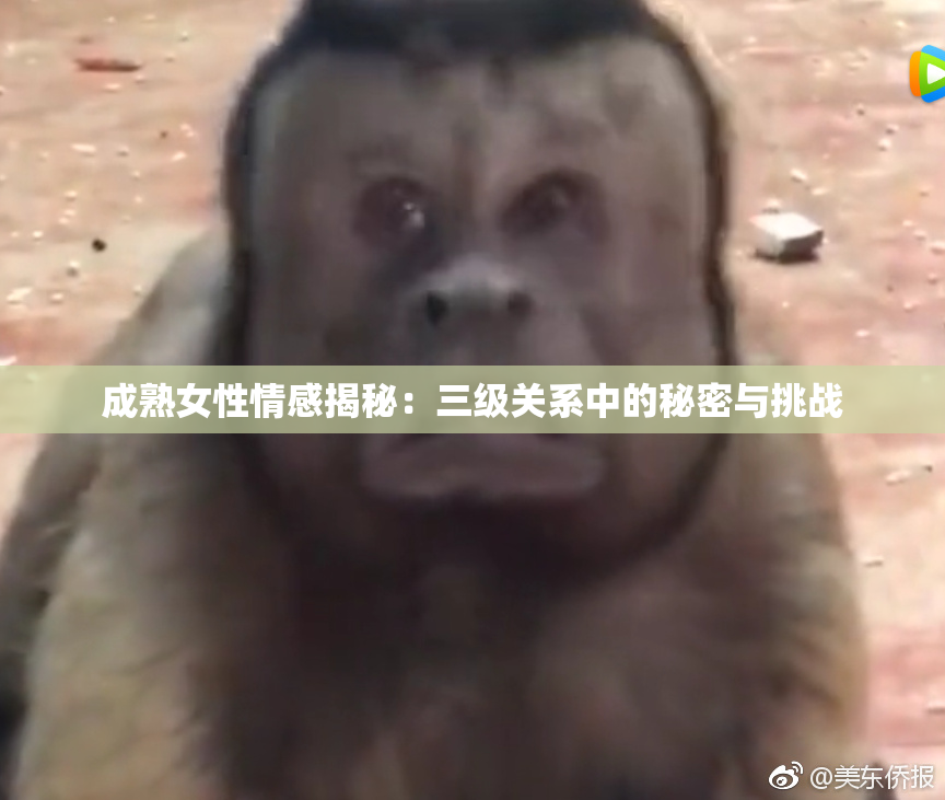 成熟女性情感揭秘：三级关系中的秘密与挑战