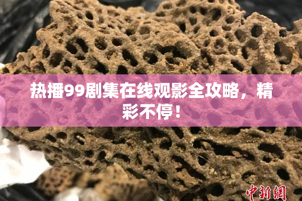 热播99剧集在线观影全攻略，精彩不停！