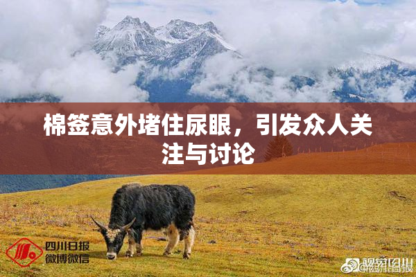 棉签意外堵住尿眼，引发众人关注与讨论