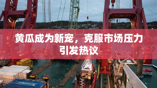 黄瓜成为新宠，克服市场压力引发热议