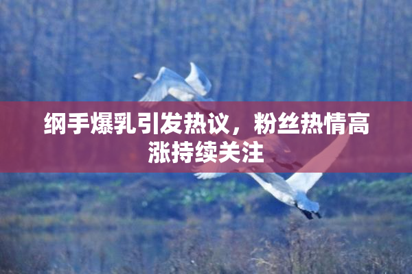 纲手爆乳引发热议，粉丝热情高涨持续关注