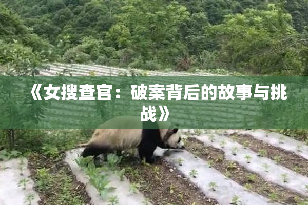 《女搜查官：破案背后的故事与挑战》