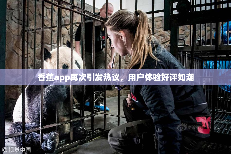 香蕉app再次引发热议，用户体验好评如潮
