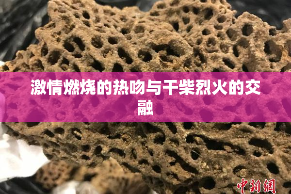 激情燃烧的热吻与干柴烈火的交融