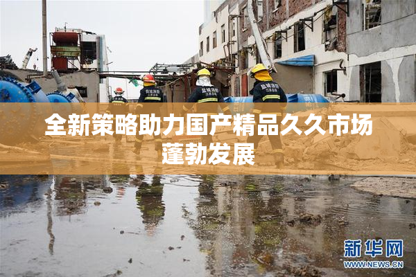 全新策略助力国产精品久久市场蓬勃发展