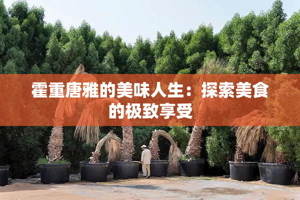 霍重唐雅的美味人生：探索美食的极致享受