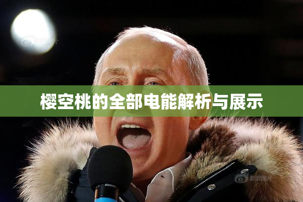 樱空桃的全部电能解析与展示