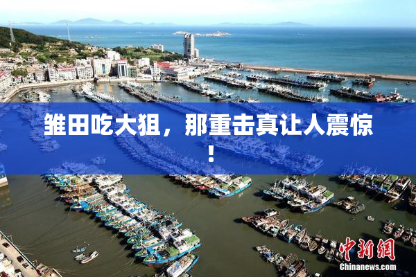 雏田吃大狙，那重击真让人震惊！