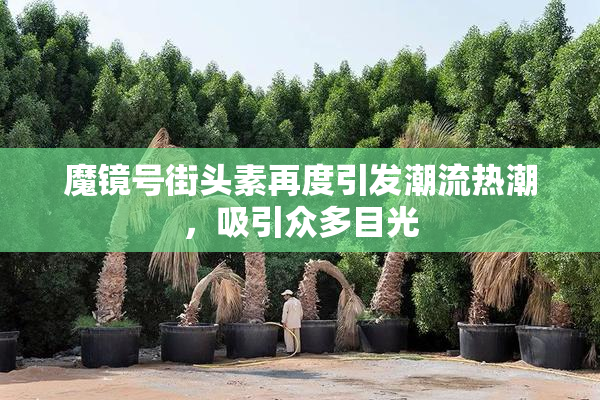 魔镜号街头素再度引发潮流热潮，吸引众多目光