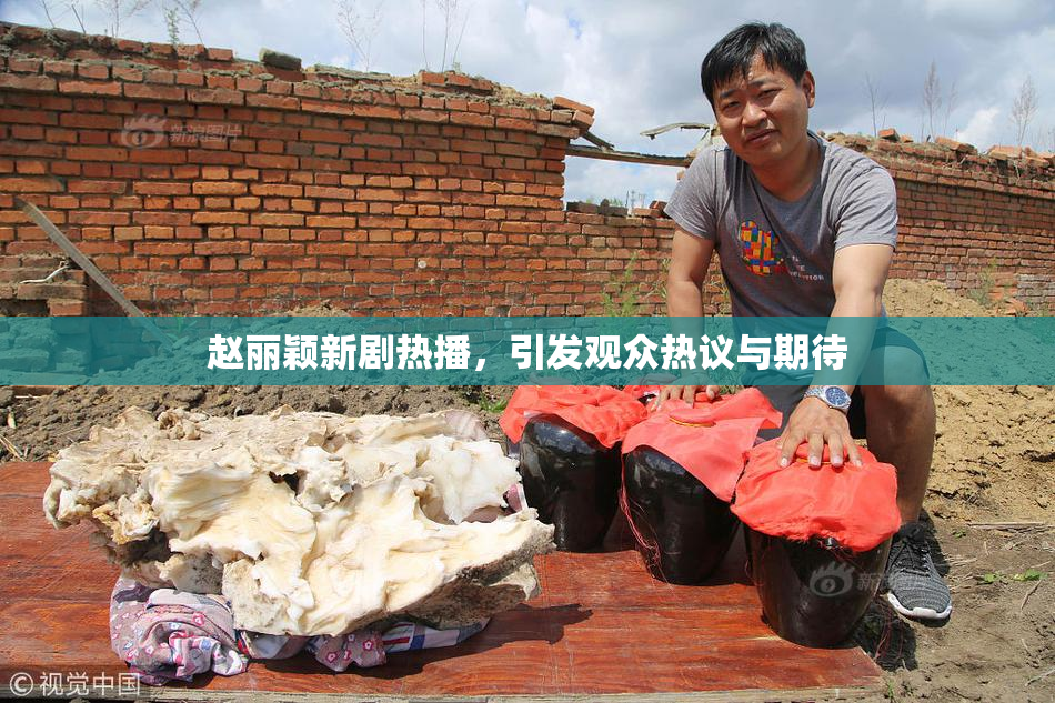 赵丽颖新剧热播，引发观众热议与期待