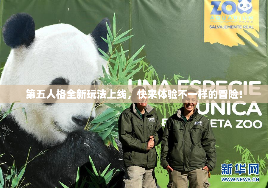第五人格全新玩法上线，快来体验不一样的冒险！