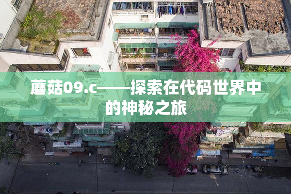 蘑菇09.c——探索在代码世界中的神秘之旅