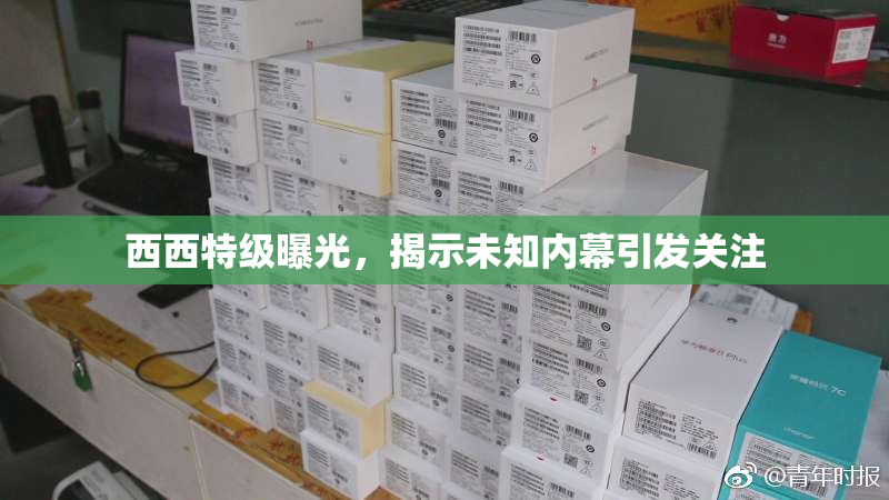 西西特级曝光，揭示未知内幕引发关注