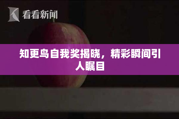 知更鸟自我奖揭晓，精彩瞬间引人瞩目