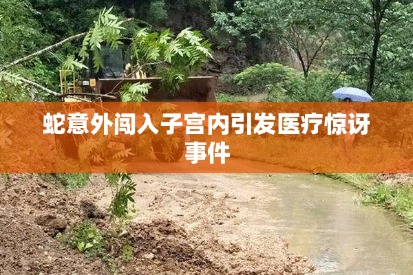 蛇意外闯入子宫内引发医疗惊讶事件