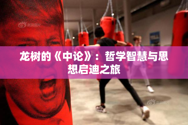 龙树的《中论》：哲学智慧与思想启迪之旅