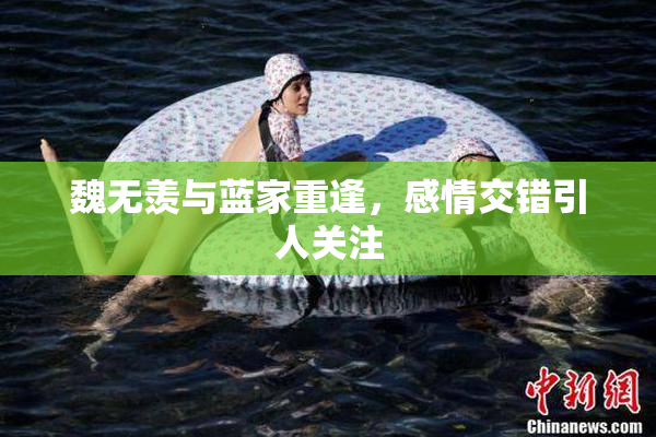 魏无羡与蓝家重逢，感情交错引人关注