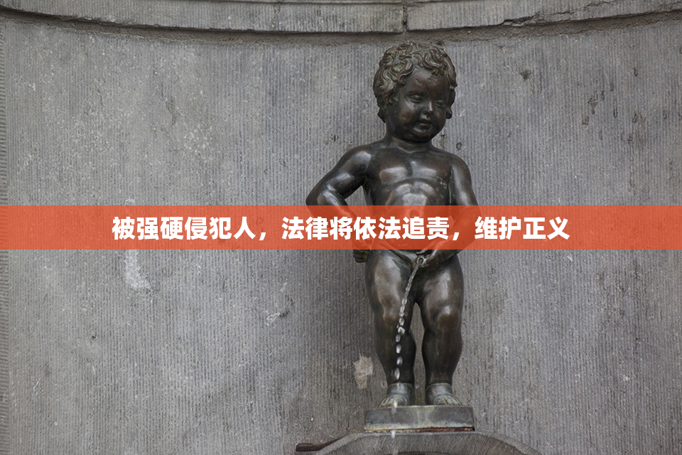 被强硬侵犯人，法律将依法追责，维护正义