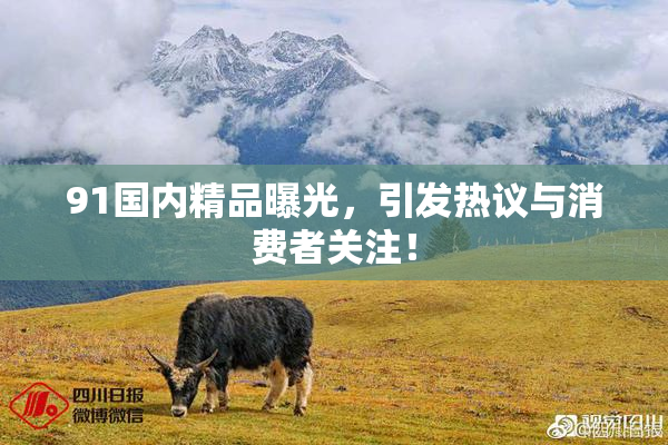 91国内精品曝光，引发热议与消费者关注！