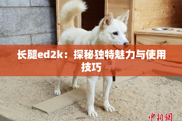 长腿ed2k：探秘独特魅力与使用技巧