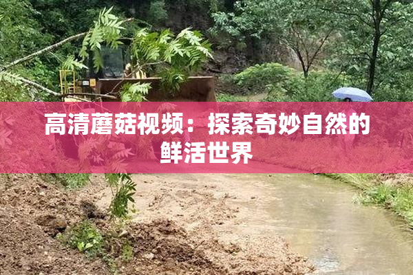 高清蘑菇视频：探索奇妙自然的鲜活世界