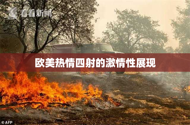 欧美热情四射的激情性展现