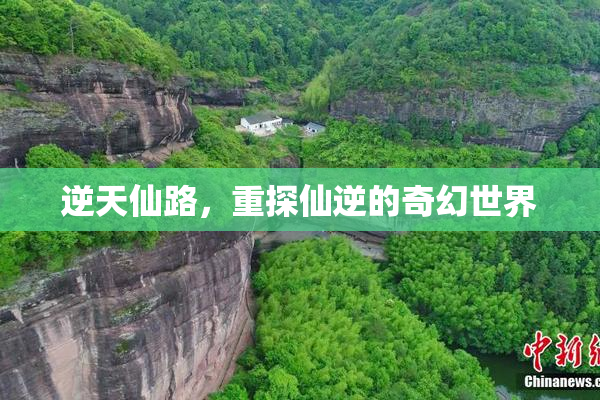 逆天仙路，重探仙逆的奇幻世界