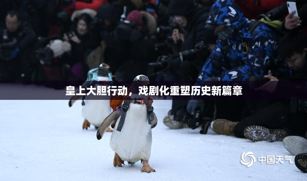 皇上大胆行动，戏剧化重塑历史新篇章
