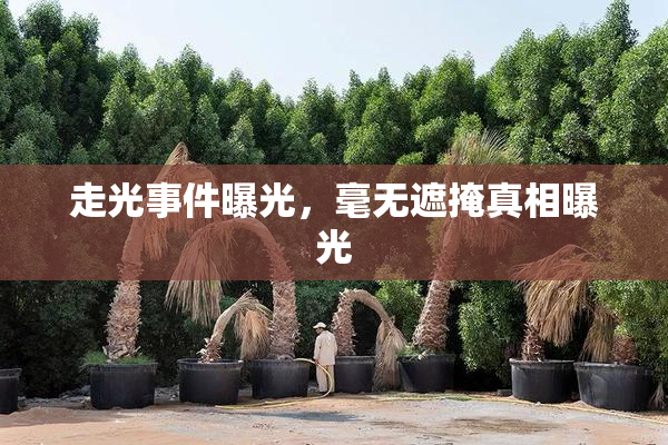 走光事件曝光，毫无遮掩真相曝光