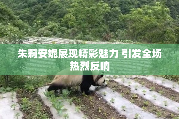 朱莉安妮展现精彩魅力 引发全场热烈反响
