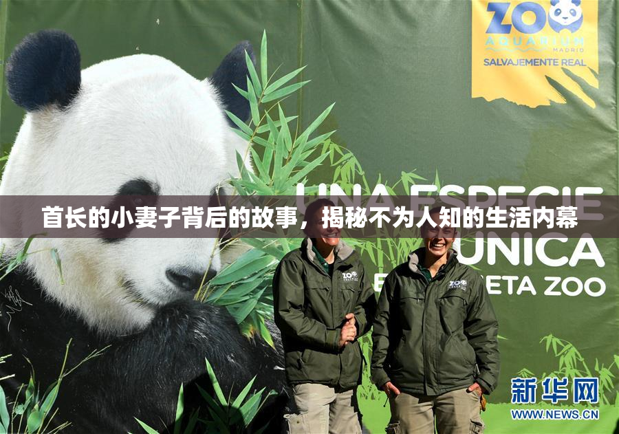 首长的小妻子背后的故事，揭秘不为人知的生活内幕