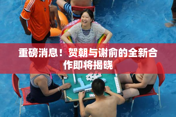 重磅消息！贺朝与谢俞的全新合作即将揭晓
