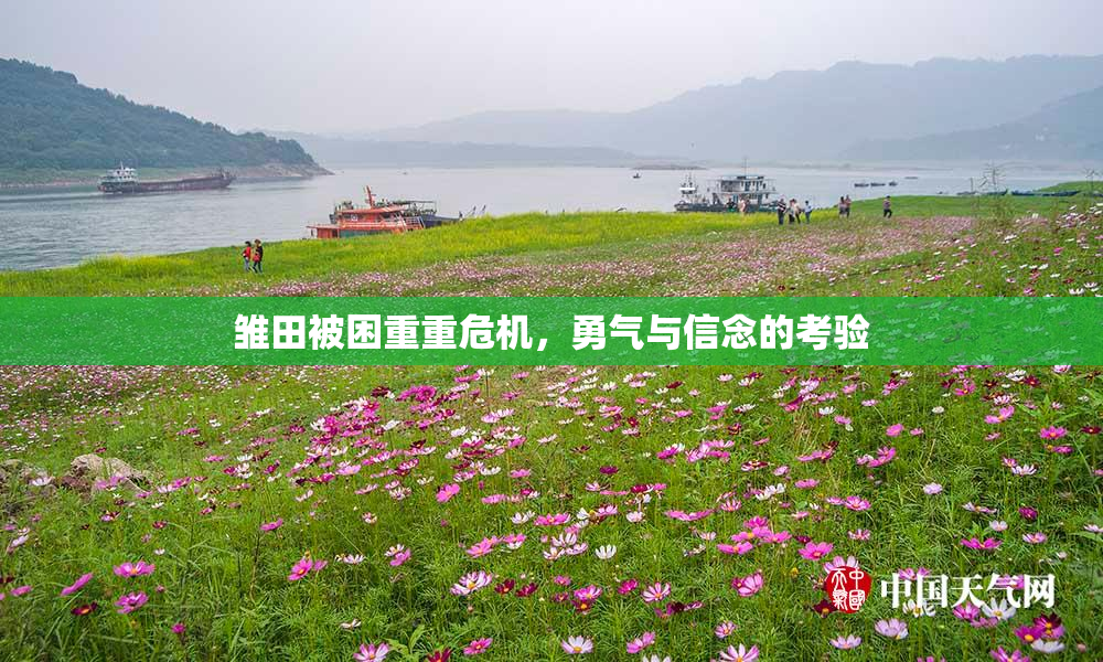 雏田被困重重危机，勇气与信念的考验