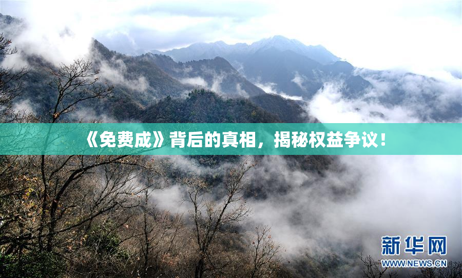《免费成》背后的真相，揭秘权益争议！