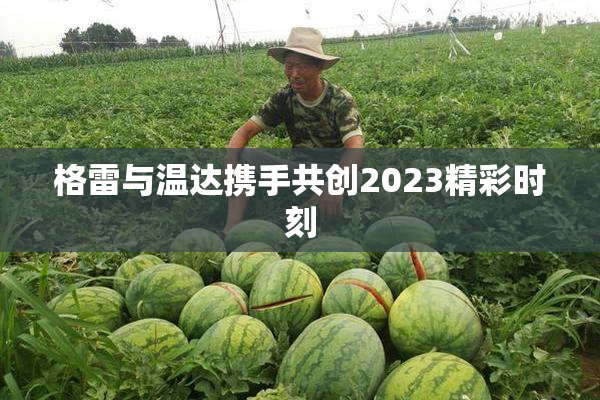 格雷与温达携手共创2023精彩时刻