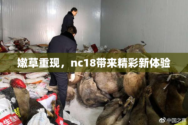 嫩草重现，nc18带来精彩新体验