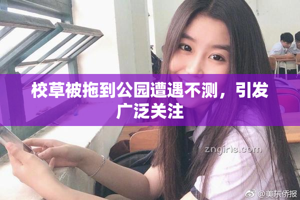 校草被拖到公园遭遇不测，引发广泛关注