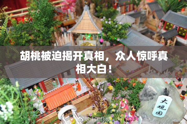 胡桃被迫揭开真相，众人惊呼真相大白！